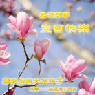 Published on 5/13/2011 ���ֹ�,��½�󷨵��Ӻ�ʦ�𻪵��߷��ִ��գ�13�� - ���ִ�������
