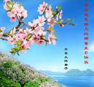 Published on 5/13/2011 ���ֹ�,��½�󷨵��Ӻ�ʦ�𻪵��߷��ִ��գ�20�� - ���ִ�������
