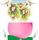 Published on 5/13/2011 ���ֹ�,��½�󷨵��Ӻ�ʦ�𻪵��߷��ִ��գ�29�� - ���ִ�������
