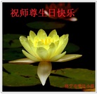 Published on 5/12/2011 ���ֹ�,��½�󷨵��Ӻ�ʦ�𻪵��߷��ִ��գ�230�أ� - ���ִ�������
