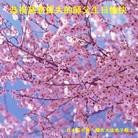 Published on 5/13/2012 ���ֹ�,��̫�󷨵��ӹ���ʦ�𻪵��ߴ󷨺鴫��ʮ���� - ���ִ�������
