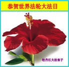 Published on 5/8/2012 ���ֹ�,��½�󷨵��ӹ�ף���ִ󷨺鴫��ʮ���꣨���� - ���ִ�������
