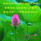 Published on 5/11/2012 ���ֹ�,���������󷨵��ӹ��ط��ִ󷨺鴫��ʮ���� - ���ִ�������
