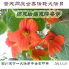 Published on 5/13/2013 ���ֹ�,��½�󷨵��ӹ���ʦ�𻪵��߷��ִ���(36��)
