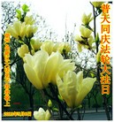 Published on 5/13/2013 ���ֹ�,��½�󷨵��ӹ���ʦ�𻪵��߷��ִ���(32��)
