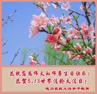 Published on 5/13/2013 ���ֹ�,��½�󷨵��ӹ���ʦ�𻪵��߷��ִ���(33��)
