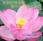 Published on 5/13/2013 ���ֹ�,��½�󷨵��ӹ���ʦ�𻪵��߷��ִ���(31��)
