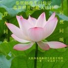 Published on 5/13/2013 ���ֹ�,��½�󷨵��ӹ���ʦ�𻪵��߷��ִ���(34��)
