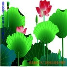 Published on 5/13/2013 ���ֹ�,��½�󷨵��ӹ���ʦ�𻪵��߷��ִ���(39��)
