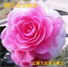 Published on 5/14/2013 ���ֹ�,��½�󷨵��ӹ���ʦ�𻪵��߷��ִ���(31��)
