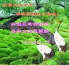 Published on 5/14/2013 ���ֹ�,�����󷨵��ӹ���ʦ�𻪵��߷��ִ���(23��)
