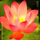 Published on 5/13/2013 ���ֹ�,��½�󷨵��ӹ���ʦ�𻪵��߷��ִ���(51��)
