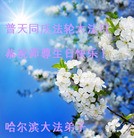 Published on 5/14/2013 ���ֹ�,��½�󷨵��ӹ���ʦ�𻪵��߷��ִ���(75��)
