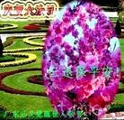 Published on 5/13/2013 ���ֹ�,���������˹�ף���־��ʦ���տ���(31��)
