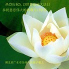 ���ֹ�,�����󷨵��ӹ���ʦ�𻪵������編�ִ��գ�22����
