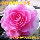 Published on 5/10/2013 ���ֹ�,�����д󷨵��ӹ���ʦ�𻪵��߷��ִ��գ�17����
