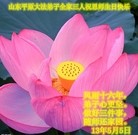 Published on 5/11/2013 ���ֹ�,ɽ�����ݴ󷨵��ӹ���ʦ�𻪵��߷��ִ��գ�24����
