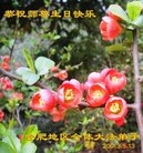 ���ֹ�,���մ󷨵��ӹ���ʦ�𻪵��߷��ִ��գ�12����
