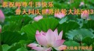 ���ֹ�,�������󷨵��ӹ���ʦ�𻪵��ߴ󷨺鴫��ʮ������(19��)
