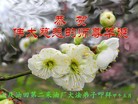 ���ֹ�,����ҵ�󷨵��ӹ���ʦ�𻪵��ߴ󷨺鴫��ʮ������(30��)
