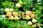 ���ֹ�,�������󷨵��ӹ���ʦ�𻪵��ߴ󷨺鴫��ʮ������(21��)
