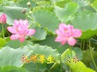 ���ֹ�,�ȷ��󷨵��ӹ���ʦ�𻪵��ߴ󷨺鴫��ʮ������(26��)
