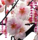 ���ֹ�,�����󷨵��ӹ���ʦ�𻪵��ߴ󷨺鴫��ʮ������(22��)
