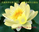 ���ֹ�,�ػʵ��󷨵��ӹ��ش󷨺鴫��ʮ��������ʦ�𻪵�(22��)
