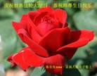 ���ֹ�,�ػʵ��󷨵��ӹ��ش󷨺鴫��ʮ��������ʦ�𻪵�(22��)
