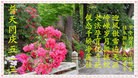 ���ֹ�,��ľ˹�󷨵��ӹ���ʦ�𻪵��ߴ󷨺鴫��ʮ������(19��)
