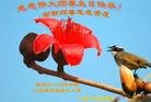 ���ֹ�,�������󷨵��ӹ���ʦ�𻪵��ߴ󷨺鴫��ʮ������(23��)
