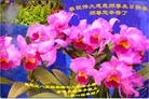 ���ֹ�,�������󷨵��ӹ���ʦ�𻪵��ߴ󷨺鴫��ʮ������(23��)
