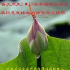 ���ֹ�,�����󷨵��ӹ���ʦ�𻪵��ߴ󷨺鴫��ʮ������(23��)
