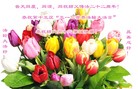 ���ֹ�,��ɽ�󷨵��ӹ���ʦ�𻪵��ߴ󷨺鴫��ʮ������(25��)

