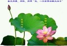 ���ֹ�,��ɽ�󷨵��ӹ���ʦ�𻪵��ߴ󷨺鴫��ʮ������(25��)
