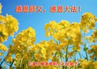 ���ֹ�,ʯ��ׯ�󷨵��ӹ���ʦ�𻪵��ߴ󷨺鴫��ʮ������(23��)
