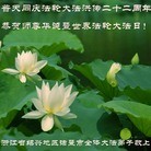 ���ֹ�,�㽭�󷨵��ӹ���ʦ�𻪵��ߴ󷨺鴫��ʮ������(22��)
