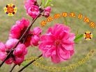 ���ֹ�,��������󷨵��ӹ���ʦ�𻪵��ߴ󷨺鴫��ʮ������(24��)
