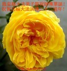 ���ֹ�,���մ󷨵��ӹ���ʦ�𻪵��ߴ󷨺鴫��ʮ������(24��)
