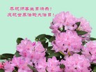 ���ֹ�,��ɽ�󷨵��ӹ���ʦ�𻪵��ߴ󷨺鴫��ʮ������(25��)
