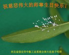 ���ֹ�,����ҵ�󷨵��ӹ���ʦ�𻪵��ߴ󷨺鴫��ʮ������(30��)
