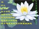 ���ֹ�,��������󷨵��ӹ���ʦ�𻪵��ߴ󷨺鴫��ʮ������(24��)
