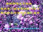���ֹ�,��������󷨵��ӹ���ʦ�𻪵��ߴ󷨺鴫��ʮ������(24��)
