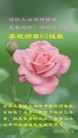 ���ֹ�,ʯ��ׯ�󷨵��ӹ��ش󷨺鴫��ʮ��������ʦ�𻪵�(26��)
