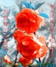 ���ֹ�,�ػʵ��󷨵��ӹ��ش󷨺鴫��ʮ��������ʦ�𻪵�(23��)
