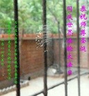 ���ֹ�,ʯ��ׯ�󷨵��ӹ��ش󷨺鴫��ʮ��������ʦ�𻪵�(27��)

