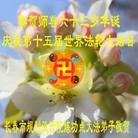 ���ֹ�,�����󷨵��ӹ��ش󷨺鴫��ʮ��������ʦ�𻪵�(26��)

