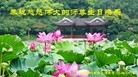 ���ֹ�,�������󷨵��ӹ��ش󷨺鴫��ʮ��������ʦ�𻪵�(20��)
