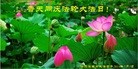 ���ֹ�,�������󷨵��ӹ��ش󷨺鴫��ʮ��������ʦ�𻪵�(20��)
