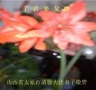 ���ֹ�,ɽ���󷨵��ӹ��ش󷨺鴫��ʮ��������ʦ�𻪵�(29��)
